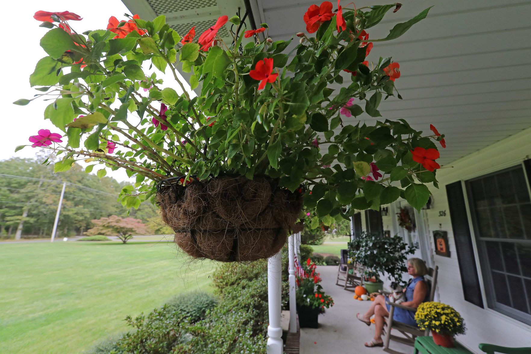 It's "My Happy Place" Dottie Garbutt